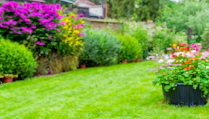 L'entretien r&eacute;gulier de votre jardin &agrave; Berrwiller, pourquoi et comment ?